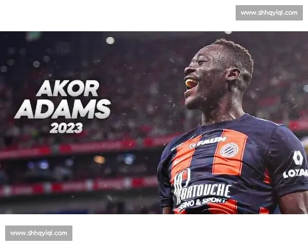 蒙彼利埃低价淘金,神秘新援能否踢出名堂